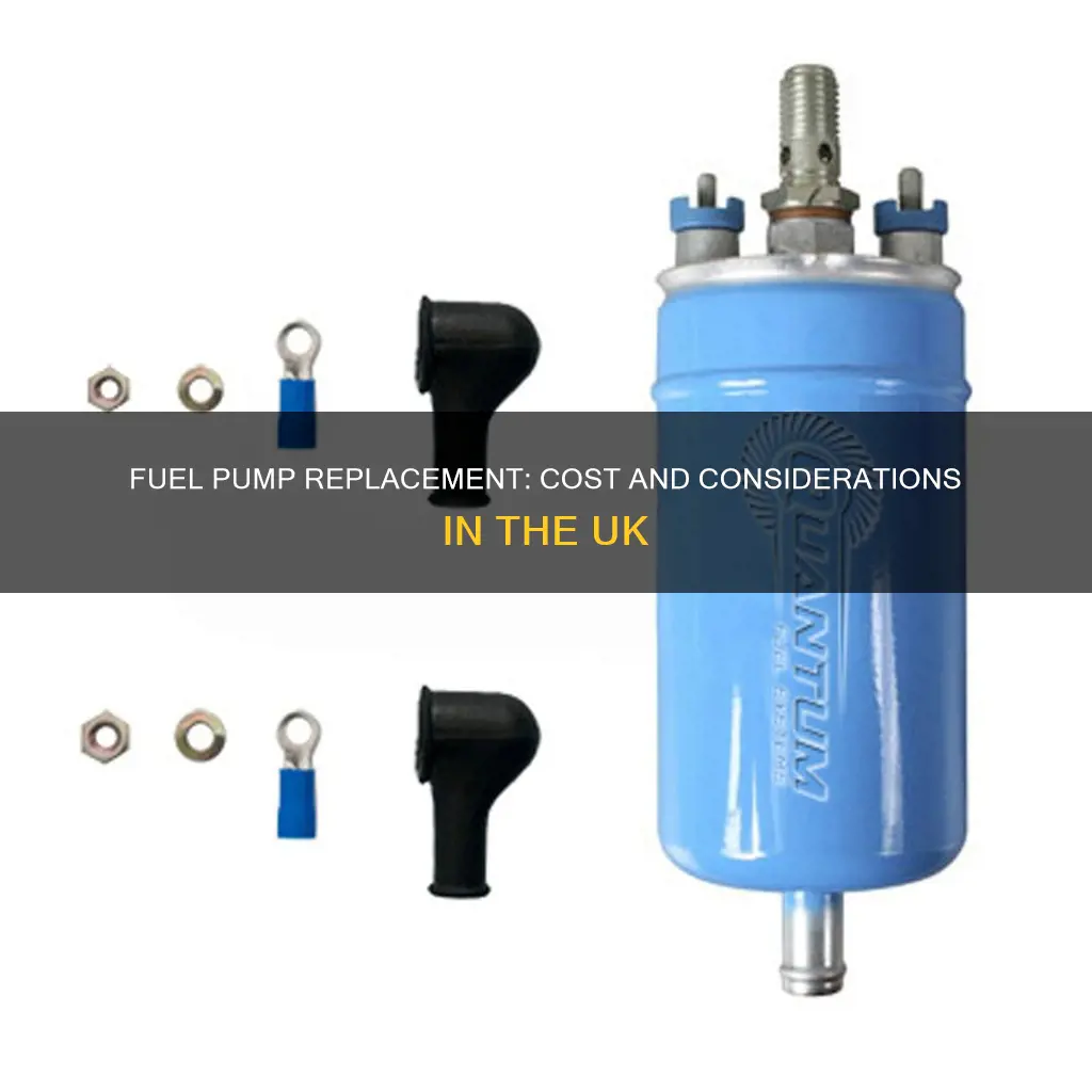 how much does a fuel pump cost to replace uk
