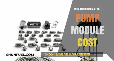 Fuel Pump Module Cost: What's the Price Tag?
