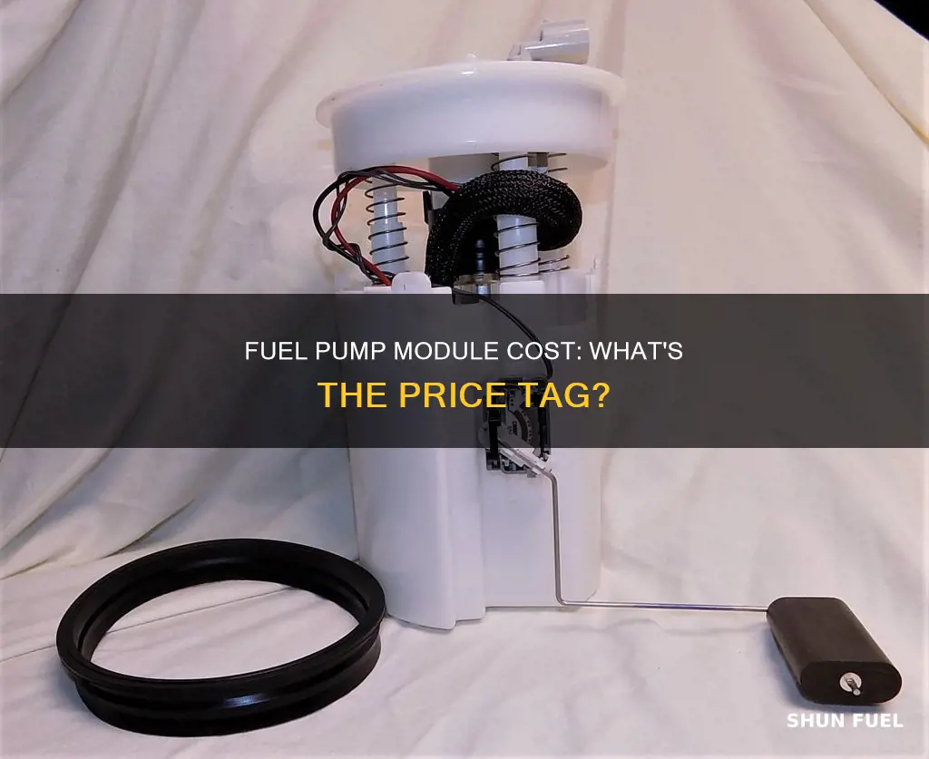 how much does a fuel pump module cost