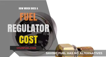 Fuel Regulator Cost: What's the Price of Control?