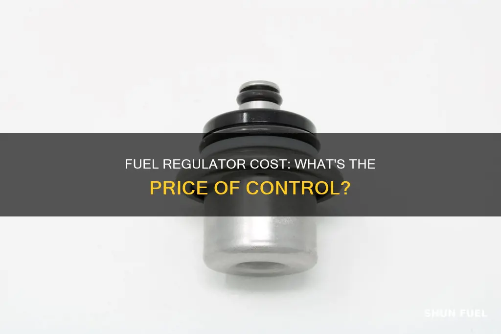 how much does a fuel regulator cost