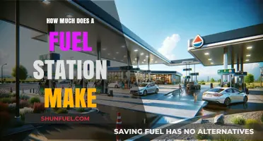 Fuel Stations: Profits and Losses