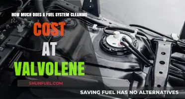 Valvoline Fuel System Cleaning Cost and Benefits