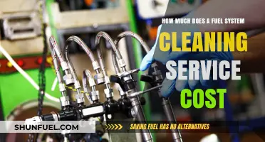 Fuel System Cleaning: Service Cost Explained