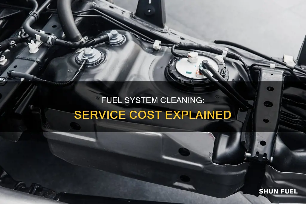 how much does a fuel system cleaning service cost
