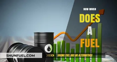 Fuel Costs: How Much Does Your Wallet Hurt?