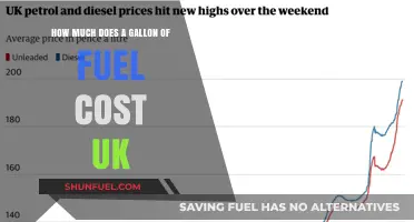 UK Fuel Costs: Gallon Pricing Explored
