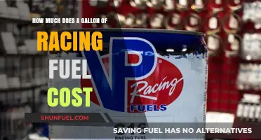 Racing Fuel Costs: Gallon Price Tag