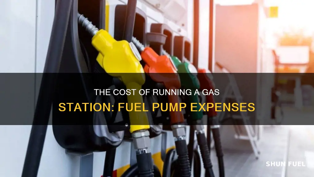 how much does a gas station fuel pump cost