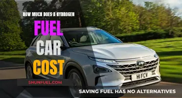 Hydrogen Fuel Cars: Expensive Revolution or Affordable Future?