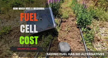 The High Cost of Microbial Fuel Cells
