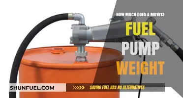 The Weight of a MU1613 Fuel Pump: How Much?