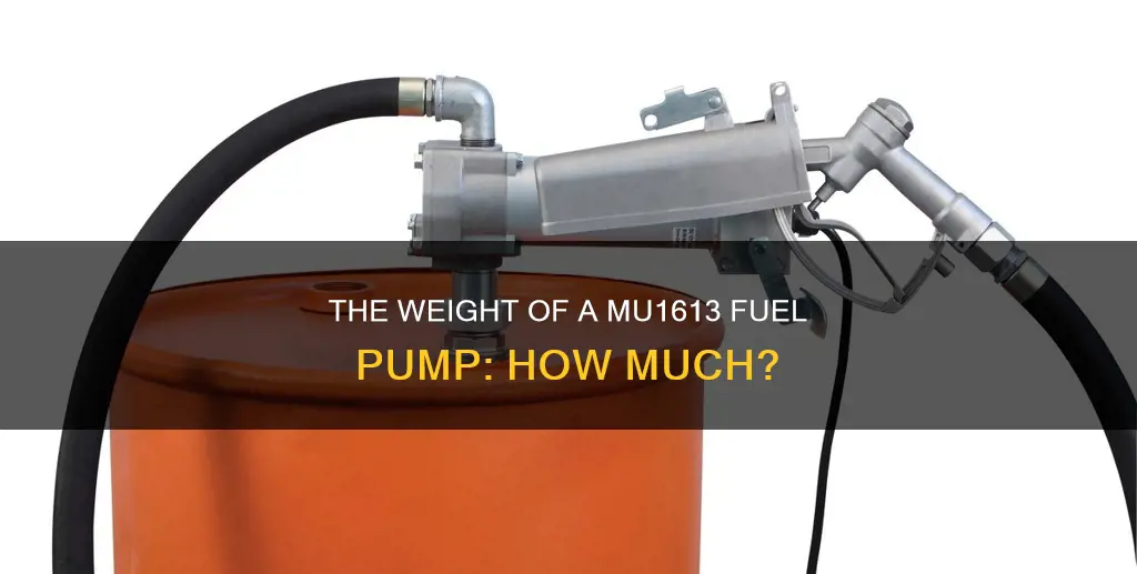 how much does a mu1613 fuel pump weight