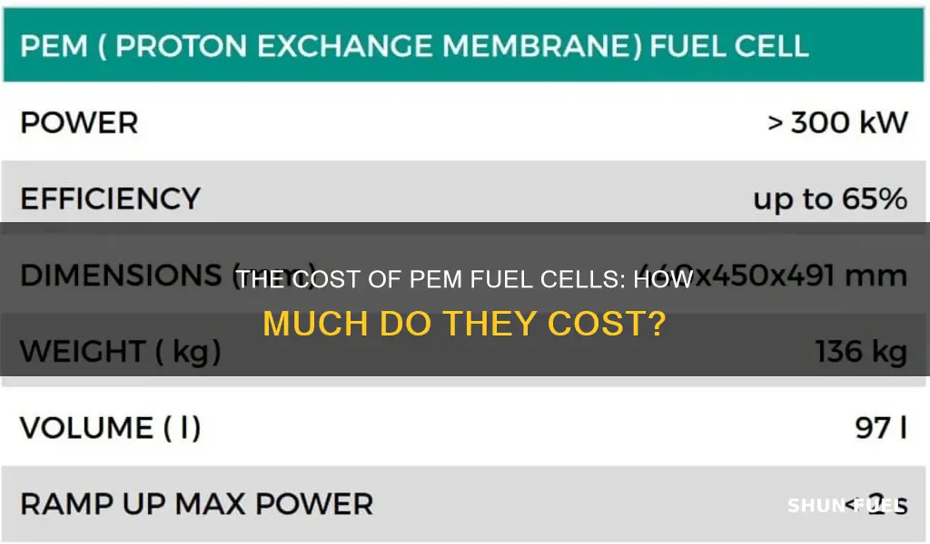 how much does a pem fuel cell cost