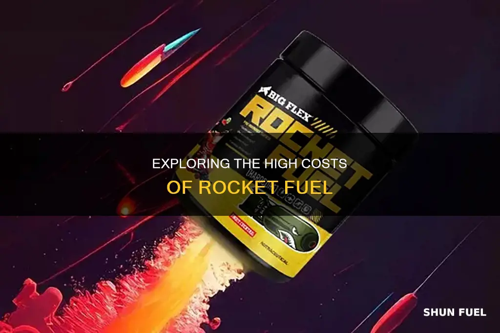 how much does a pound of rocket fuel cost