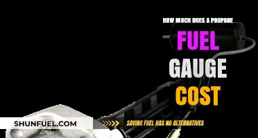 Propane Fuel Gauge Cost: What's the Price of Safety?