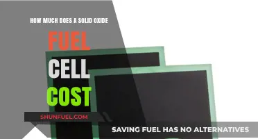 The Cost of Solid Oxide Fuel Cells: How Much?