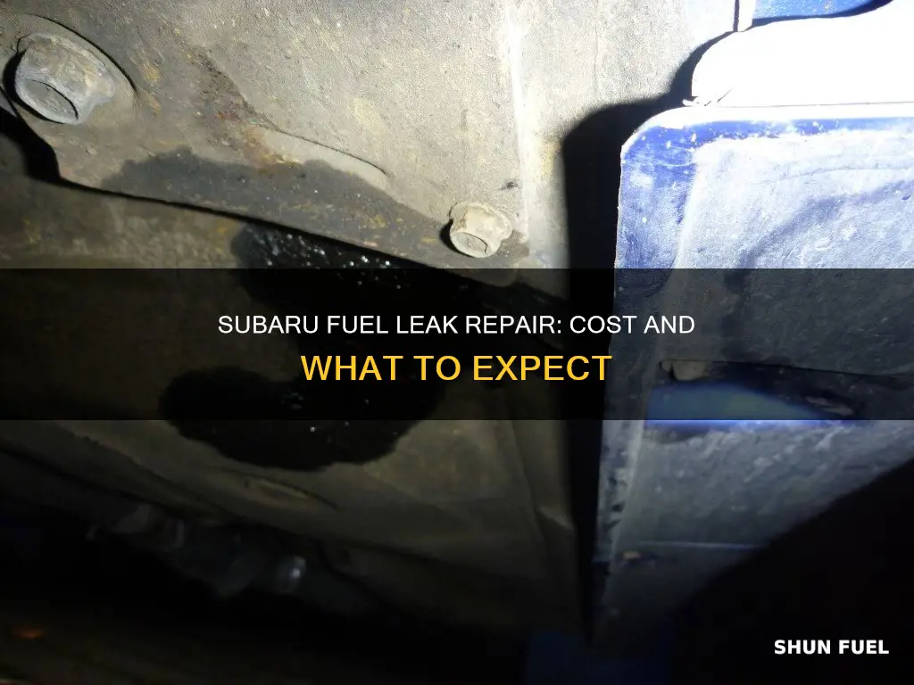 how much does a subaru fuel leak repair cost