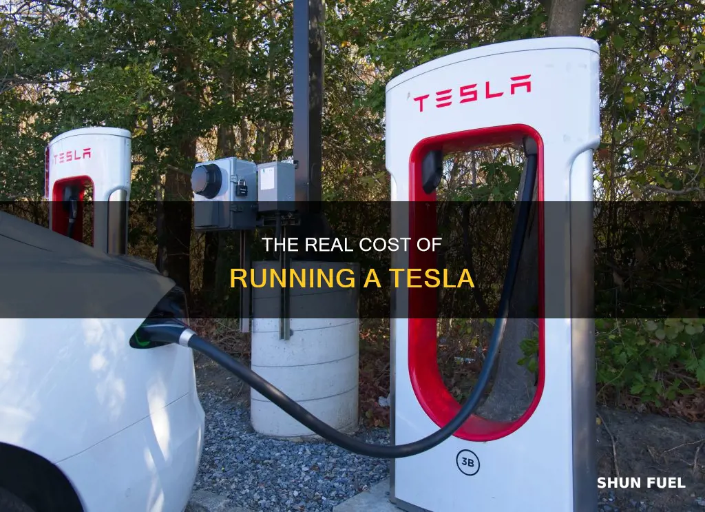 how much does a tesla cost in fuel