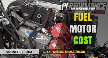 The Expense of Top Fuel Motor Performance