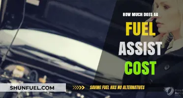 Fuel Assist: What's the Cost of AA's Service?