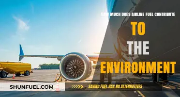 Airline Fuel's Environmental Impact: What's the Cost?