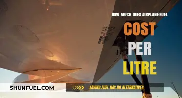 Airplane Fuel Costs: Expensive Liters