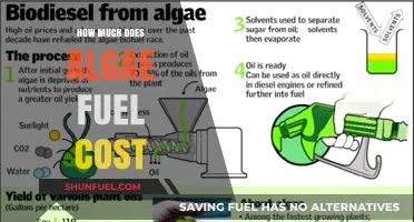 Algae Fuel: Cost Analysis and Future Prospects