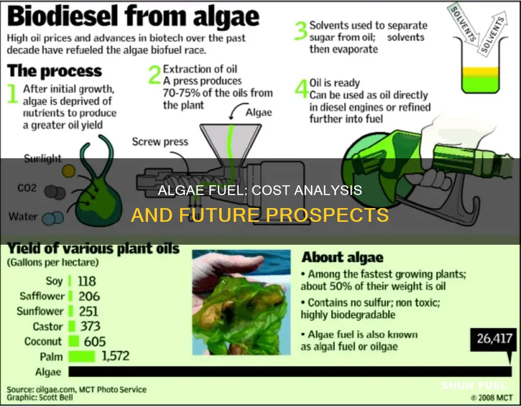 how much does algae fuel cost