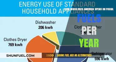 America's Annual Fossil Fuel Expenditure: A Detailed Analysis