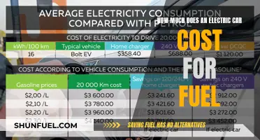 Electric Car Fuel Costs: How Much Do They Really Cost?