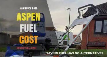 Aspen Fuel Cost: How Expensive is it Really?