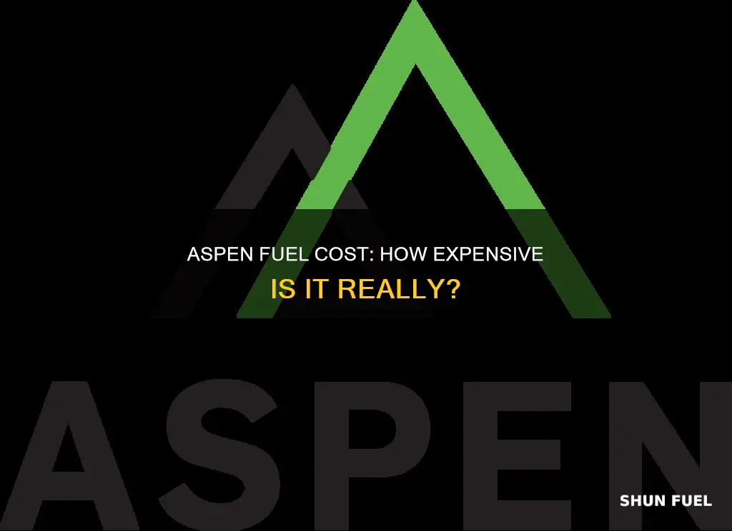 how much does aspen fuel cost