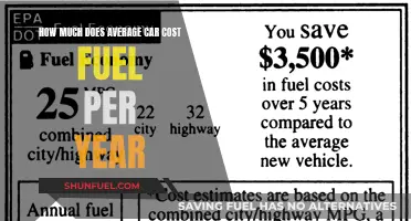 Fuel Costs: Average Car Expenses Per Year
