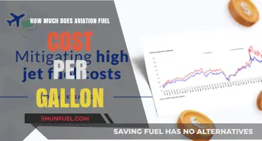 The High Cost of Aviation Fuel: Price per Gallon