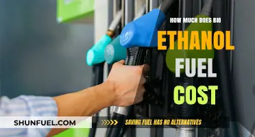 Bio Ethanol Fuel: What's the Cost?