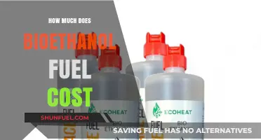 Bioethanol Fuel Costs: What's the Price Tag?