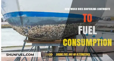 The Impact of Biofouling on Fuel Consumption