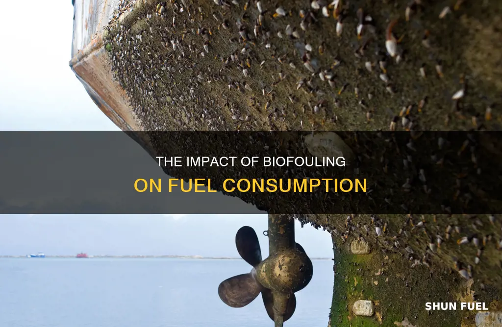how much does biofouling contribute to fuel consumption