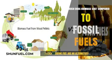 Biomass vs Fossil Fuels: The True Cost