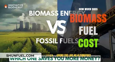 Biomass Fuel Cost: How Expensive Is It?