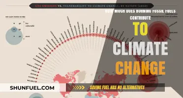 Fossil Fuels: Major Climate Change Culprit?