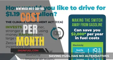 Monthly Car Fuel Costs: How Much Do They Burn?