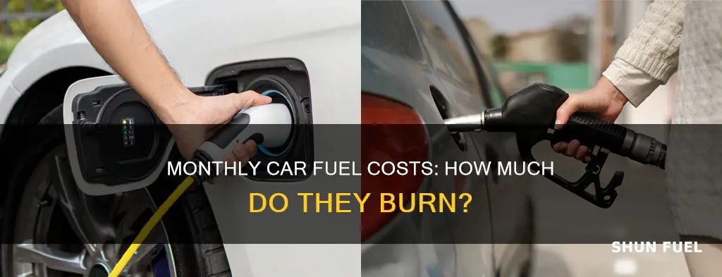 how much does car fuel cost per month