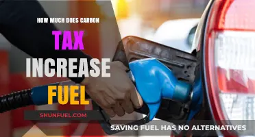 Fuel Costs Rise: Carbon Tax Impact