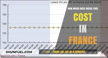 Diesel Fuel Costs in France: A Comprehensive Guide