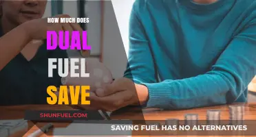 Dual Fuel Savings: How Much Can You Expect?