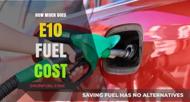 The Rising Cost of E10 Fuel: What's the Price Now?