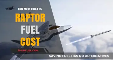 The F-22 Raptor's Fuel: A Costly Affair
