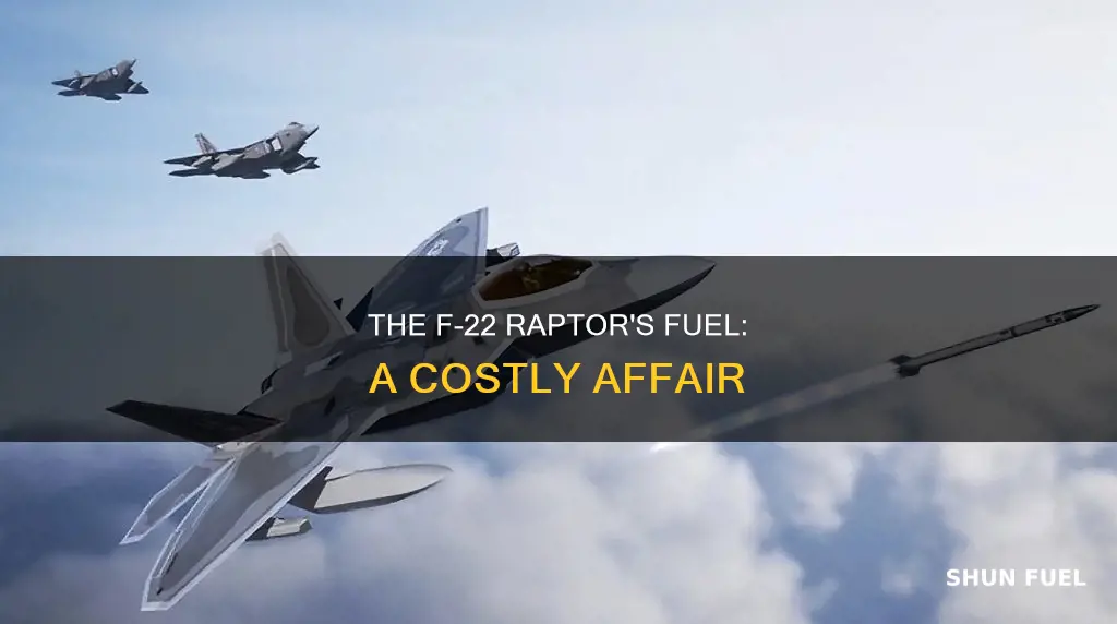 how much does f-22 raptor fuel cost